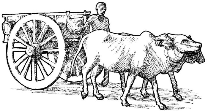 Proto as a farmer with his oxen! Image courtesy internet 